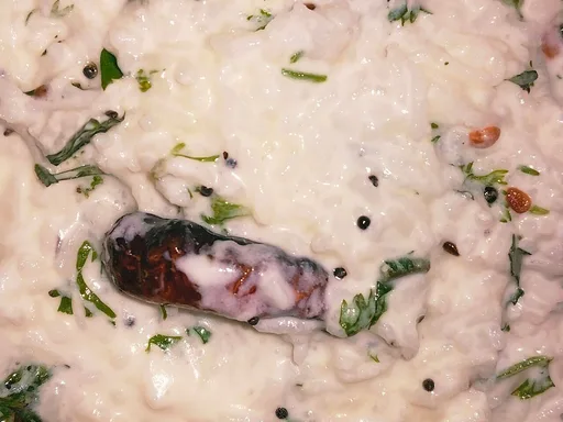 Curd Rice